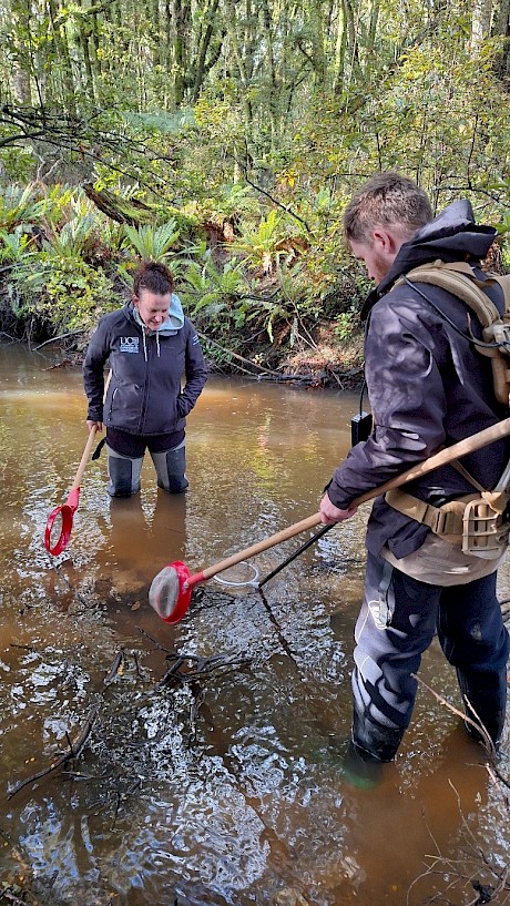 Luka Finn (Hokonui) and Helen Warburton (University of Canterbury) electrofishing for Juvenile kanakana. Photo by Kerri-Anne Edge.