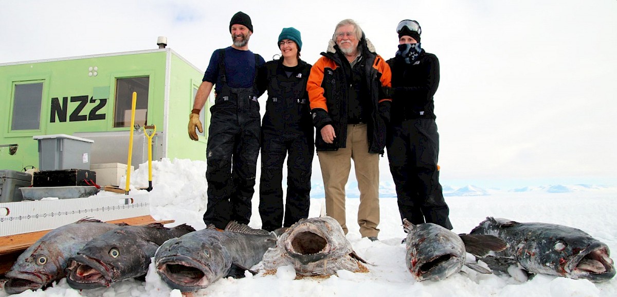 Dr Sophie Mormede (second from left) with the first haul of Antarctic toothfish after the species was thought to have disappeared from McMurdo Sound in 2015. Photo: TPA